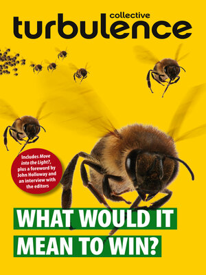 cover image of What Would it Mean to Win?